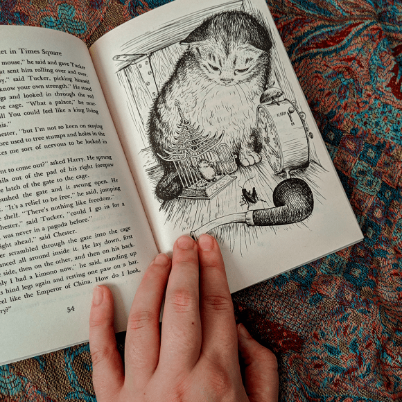 Bookstagram photo featuring illustration from The Cricket in Times Square by George Selden