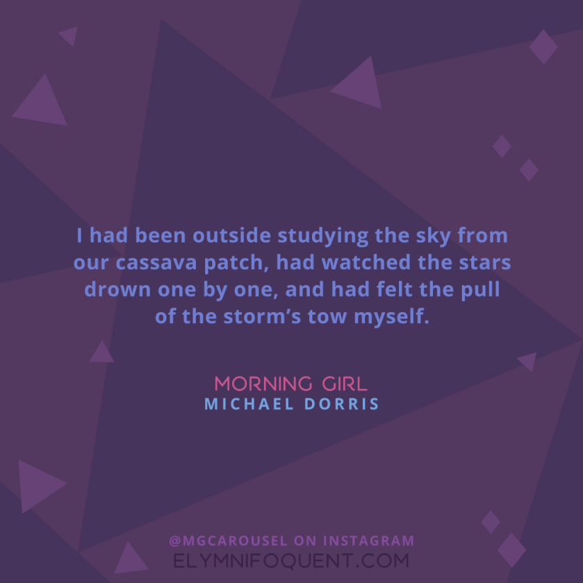 "I had been outside studying the sky from our cassava patch, had watched the stars drown one by one, and had felt the pull of the storm's tow myself" - Morning Girl by Michael Dorris