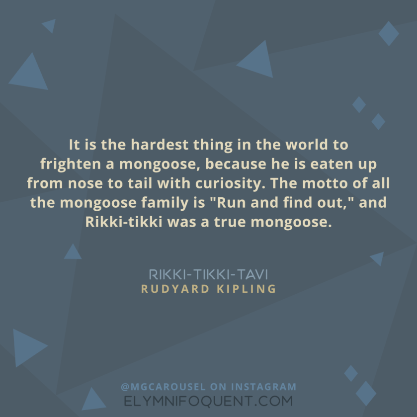 "It is the hardest thing in the world to frighten a mongoose, because he is eaten up from nose to tail with curiosity. The motto of all the mongoose family is "run and find out," and Rikki-tikki was a true mongoose." -Rikki-Tikki-Tavi by Rudyard Kipling