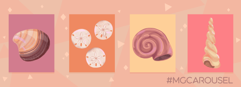 Bookmark for July 2020 features illustrations of sea shells, including a clamshell, sand dollars, a swirling sea snail shell, and a conical auger shell.