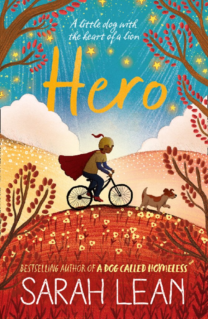 Hero by Sarah Lean